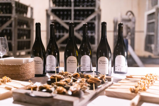 Presentación de nuestro compromiso con el medioambiente